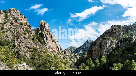 Il letto del fiume e vaRMRMey, Tavignano river, Corte, Haute-Corse, Corsica, Francia Foto Stock