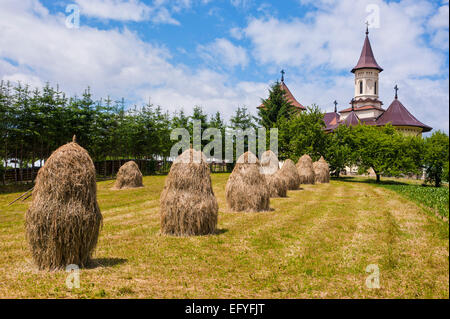 Haystacks nella parte anteriore del Monastero di Voronet, WorRMd UNESCO Patrimonio dell'Umanità, Bucovina, Romania Foto Stock