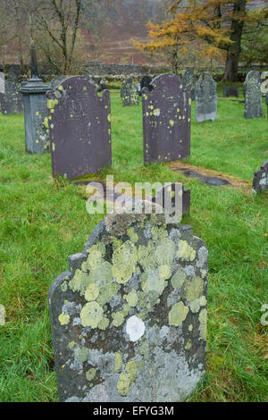 I licheni nel paese sagrato. Capel Curig, Snowdonia, il Galles del nord. Foto Stock