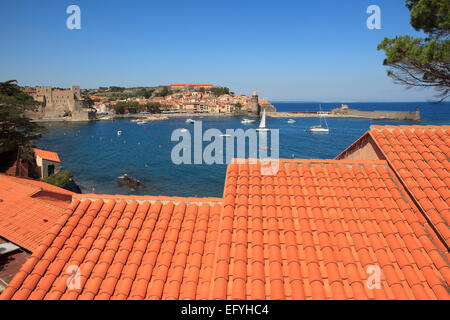 Vista panoramica della splendida cittadina medievale di Collioure nel sud della Francia Foto Stock