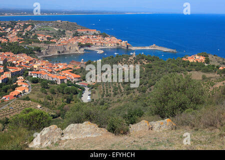 Vista panoramica della splendida cittadina medievale di Collioure nel sud della Francia Foto Stock