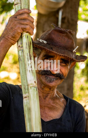 La canna da zucchero l'agricoltore che detiene canne da zucchero e canna da zucchero piantagione e la Valle de los Ingenios, Trinidad, Sancti Spiritus Provincia, Cuba Foto Stock