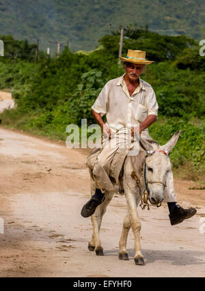 Anziani agricoltori cubani su muleback, la Valle de los Ingenios, Trinidad, Sancti Spiritus Provincia, Cuba Foto Stock