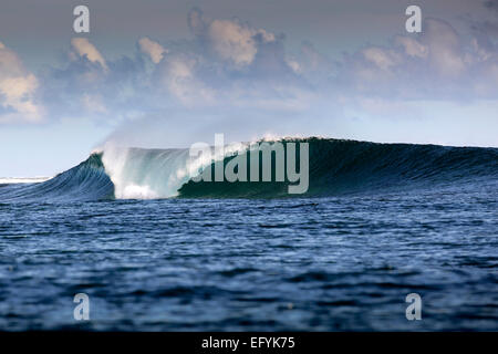 Blue Wave Surf nelle Molucche, Indonesia Foto Stock