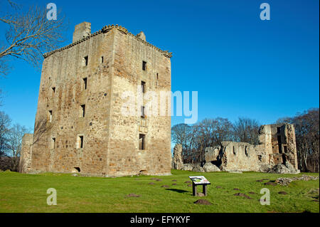 Il possente la torre di David a Spynie Palace Elgin, la più grande casa torre in volume superstite in Scozia. 9558 Foto Stock