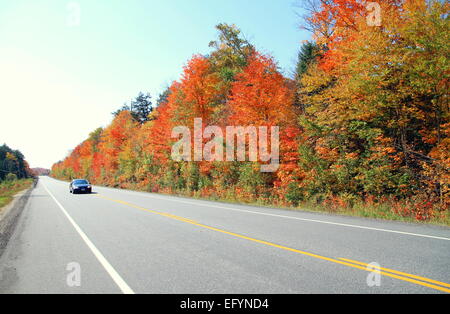 Autostrada passando attraverso l'Algonquin Provincial Park in Ontario, Canada Foto Stock