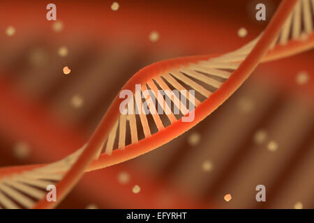 Catena di DNA macroshot. Foto Stock
