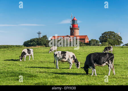 Il faro di Bastorf è situato presso il Mar Baltico, Rostock, Meclemburgo-Pomerania Occidentale, Germania, Europa Foto Stock