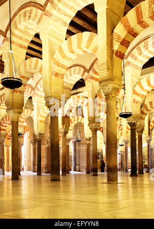 La Grande Moschea di Cordova (La Mezquita), Spagna Foto Stock