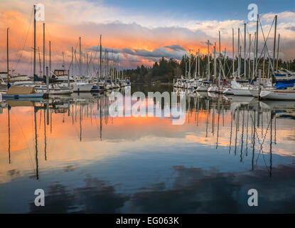 Vashon Island, Washington: Tramonto nuvole riflettono sul Quartermaster Harbour Foto Stock