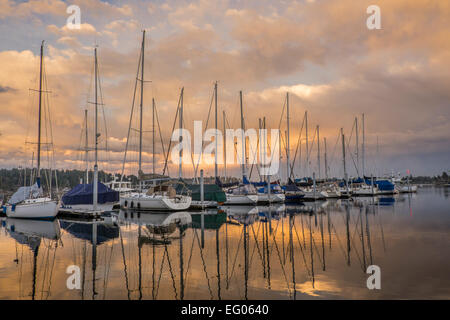 Vashon Island, Washington: Tramonto nuvole riflettono sul Quartermaster Harbour Foto Stock