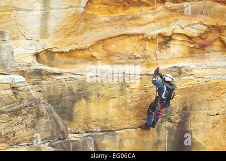 Un elemento maschio della speciale team operazioni all'interno del servizio ambulanza del NSW, conduce la discesa in corda doppia e rappelling formazione. Foto Stock