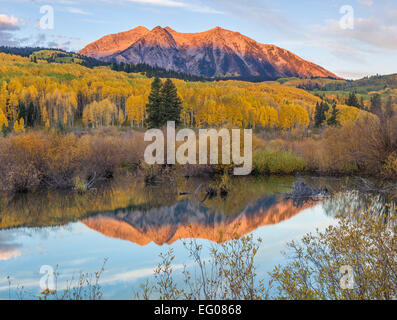 La Foresta Nazionale di Gunnison, West Elk Mountains, CO: Sunrise luce su East Beckwith Mountain, da un castoro stagno vicino Pass Kebler Foto Stock