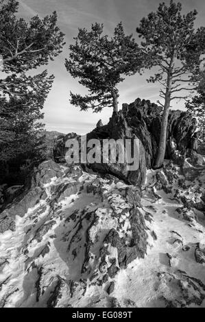 Bianco e nero, Rocky Mountain National Park, inverno, Paesaggio, Neve, Foto Stock