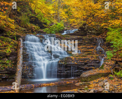 Ricketts Glen State Park, PA: Mohicano cade su cucina Creek in autunno Foto Stock