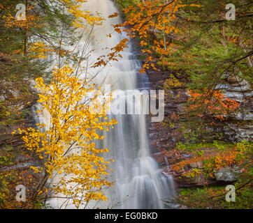 Ricketts Glen State Park, PA: Ganoga cade su cucina Creek in autunno Foto Stock