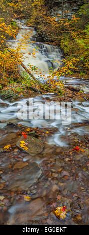 Ricketts Glen State Park, PA: Mohicano cade su cucina Creek in autunno Foto Stock