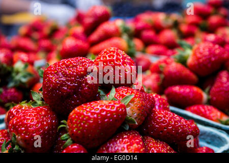 Rosso fresco Fragole al mercato degli agricoltori Foto Stock