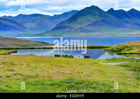 L'Islanda, Westfjords, Dyrafjord, vista panoramica del fiordo Foto Stock