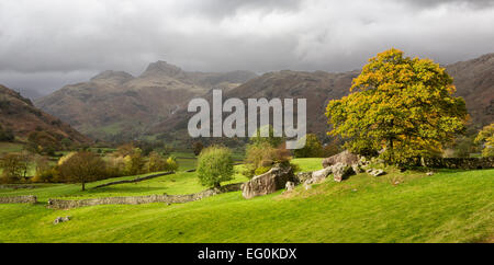 Regno Unito, Inghilterra, Lake District inglese, Langdale massi Foto Stock