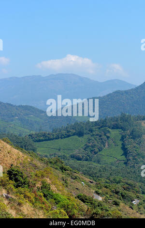 Il Eravikulam National Park, Munnar Kerala, India Foto Stock