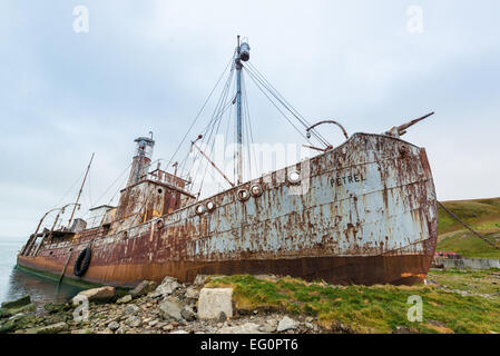 Arrugginimento nave baleniera Petrel, con messa a terra a Grytviken stazione baleniera, Georgia del Sud Antartide Foto Stock