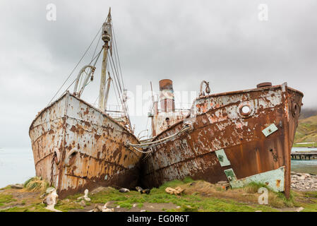 Arrugginimento baleniere, con messa a terra a Grytviken stazione baleniera, Georgia del Sud Antartide Foto Stock