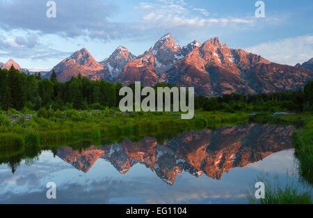 Fantastico sunrise nel Grand Teton Mountains riflessa su di un tranquillo laghetto di diramazione della Snake River. Specchio di riflessione ancora, dipinto di sky, foresta. Foto Stock