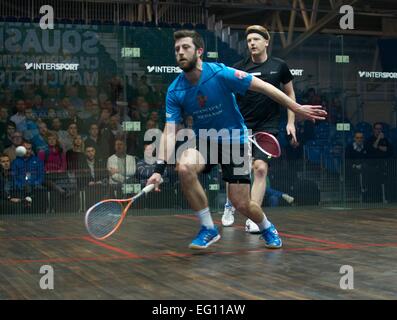 Sportcity, Manchester, Regno Unito. Il 13 febbraio, 2015. Daryl Selby (Essex), il mondo si è classificato 14, vince 16-14,11-8, 11-6 contro Tom Richards (Surrey), il mondo si è classificato 34, indossa la fascia. British National Squash Championships Quarti di Finale Manchester, UK. Credito: Giovanni friggitrice/Alamy Live News Foto Stock