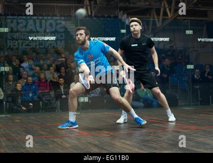 Sportcity, Manchester, Regno Unito. Il 13 febbraio, 2015. Daryl Selby (Essex), il mondo si è classificato 14, vince 16-14,11-8, 11-6 contro Tom Richards (Surrey), il mondo si è classificato 34, indossa la fascia. British National Squash Championships Quarti di Finale Manchester, UK. Credito: Giovanni friggitrice/Alamy Live News Foto Stock