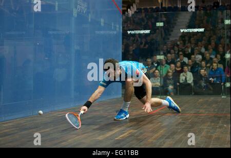 Sportcity, Manchester, Regno Unito. Il 13 febbraio, 2015. Daryl Selby (Essex), il mondo si è classificato 14, vince 16-14,11-8, 11-6 contro Tom Richards (Surrey), il mondo si è classificato 34. British National Squash Championships Quarti di Finale Manchester, UK. Credito: Giovanni friggitrice/Alamy Live News Foto Stock