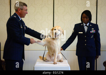 Stati Uniti Air Force Col. Frank Jones scuote Liz's paw durante la sua cerimonia di pensionamento su Charleston Air Force Base, S.C., Martedì, 10 giugno 2008. Il colonnello Jones è la missione 437th gruppo supporto commander. Liz è un militare di cane da lavoro che ha servito nel 437th delle forze di sicurezza squadrone per dieci anni. Lei è stato su una moltitudine di impieghi temporanei assegnazioni a luoghi come la Grecia, in Arabia Saudita e in Iraq. Liz si recò anche in sette diversi del servizio segreto e il Dipartimento di Stato missioni per proteggere il Presidente George Bush e il Presidente Bill Clinton. Senior Airman Nicholas Pilchreleased Foto Stock