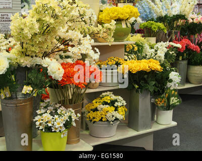 Display a colori dei fiori di seta in un grande centro giardino. Foto Stock