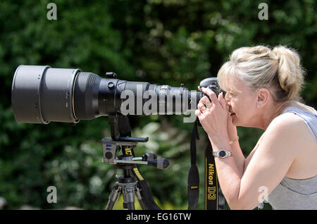 Donna che utilizza un 600 mm teleobiettivo su una Nikon D3 release disponibile Foto Stock