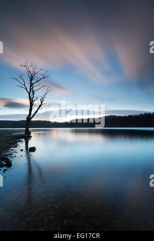 Mid-luce all'alba invernale sul Loch Ard nel Trossachs, Scotland, Regno Unito. Foto Stock