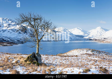 Loch Arklet a metà inverno il Trossachs, Scotland, Regno Unito. Foto Stock