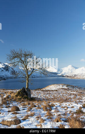 Loch Arklet a metà inverno il Trossachs, Scotland, Regno Unito. Foto Stock