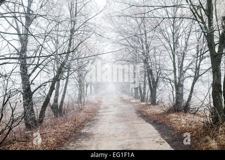 Bella strada invernale su un nebbioso giorno Foto Stock