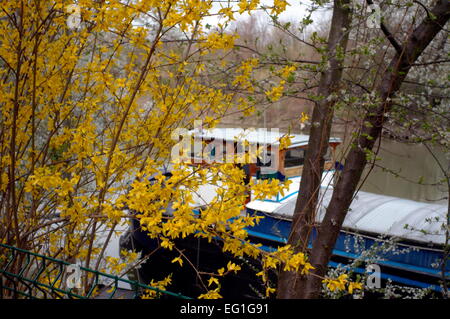 AJAXNETPHOTO 2006.- BOUGIVAL,Francia.primavera sulle rive del fiume Senna. Foto:JONATHAN EASTLAND/AJAX REF:60904 304 Foto Stock