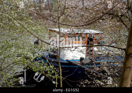 AJAXNETPHOTO 2006.- BOUGIVAL,Francia.primavera sulle rive del fiume Senna. Foto:JONATHAN EASTLAND/AJAX REF:60904 305 Foto Stock