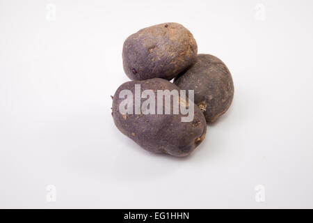 Viola patate Vitelotte. Isolato su sfondo bianco Foto Stock