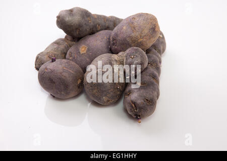 Viola patate Vitelotte. Isolato su sfondo bianco Foto Stock