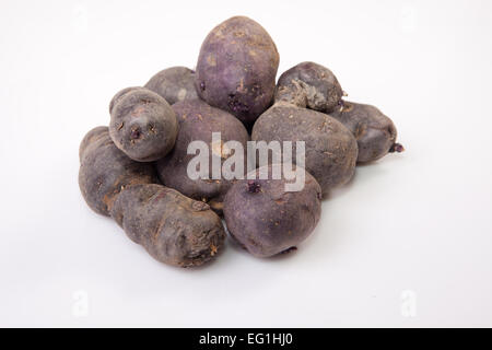 Viola patate Vitelotte. Isolato su sfondo bianco Foto Stock