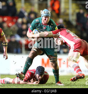 Leicester, Regno Unito. Xiii Febbraio, 2015. Aviva Premiership. Leicester Tigers versus Gloucester Rugby. Tigri capitano Giordania gru fa una pausa. © Azione Sport Plus/Alamy Live News Foto Stock