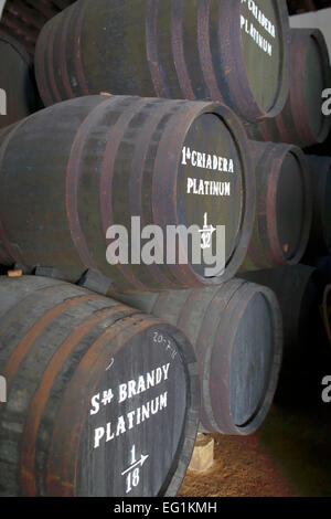 Barili di sherry a bodega, Jerez de la Frontera, Andalusia, Spagna Foto Stock