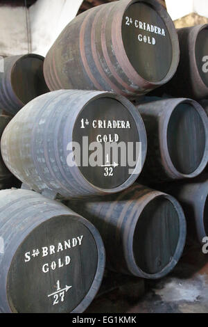 Barili di sherry a bodega, Jerez de la Frontera, Andalusia, Spagna Foto Stock