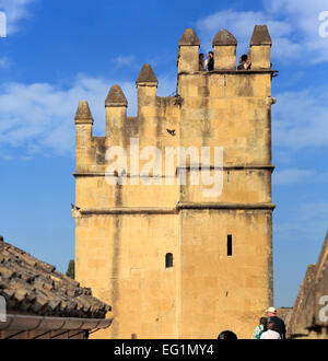 Alcazar dei Re Cristiani (Alcazar de los Reyes Cristianos), Cordoba, Andalusia, Spagna Foto Stock