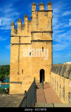 Alcazar dei Re Cristiani (Alcazar de los Reyes Cristianos), Cordoba, Andalusia, Spagna Foto Stock