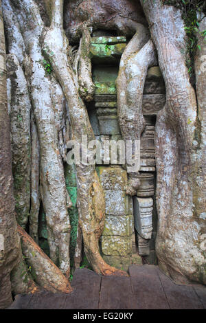 Radici di spung albero su rovine di Ta Prohm temple (Rajavihara) (1186), Angkor, Cambogia Foto Stock