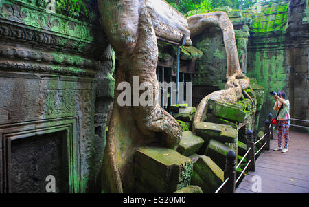 Radici di spung albero su rovine di Ta Prohm temple (Rajavihara) (1186), Angkor, Cambogia Foto Stock